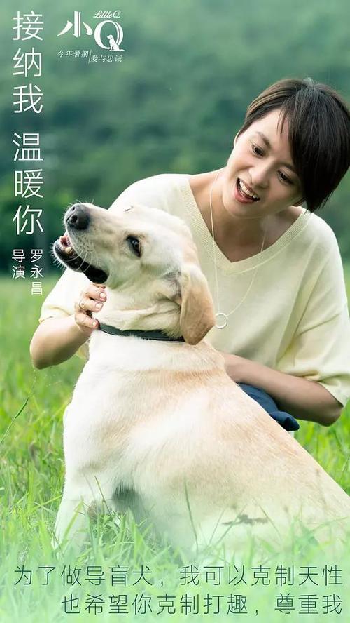 依马库雷塔大学毕业证办理